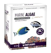 ReeFlowers Marine Algae Cream 20x5gr