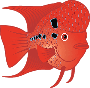 Flowern Horn Karma Yem Paketi