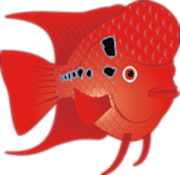 Flowern Horn Karma Yem Paketi