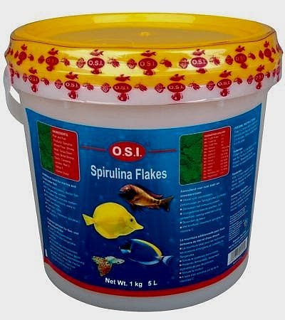 OSI Spirulina Flake %42 Spirulina 100gr Açık