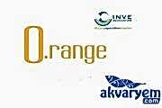 İnve O.RANGE Start-S 100-200-Mikron 100gr Açık