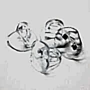 GNR Derece Vantuzu Şeffaf  1 Adet