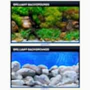 Sea View Aqua Garden/Bright Stone 60*10cm