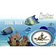 ZeoChem - Coral Rock - 10 Kg - Branch Fiji Kayası