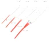 Psittacus Red Soft Tubes 5ml 1 Adet