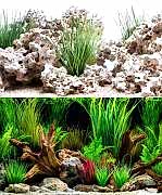 Sea View Cloud Stone/Wonderscape 60*10cm