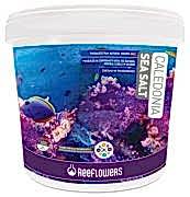 Caledonia Sea Salt 22,5kg Deniz Tuzu