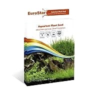 Eurostar Bitki Tohumu ELEOCHARIS Parvula