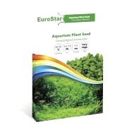 Eurostar Bitki Tohumu GLOSSOSTIGMA ELATINOIDES