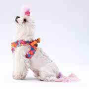 Pawstar Air-Mesh Monsters Köpek Göğüs Tasması M Beden