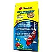 Tropical Pond Koi Goldfish Basic Sticks 4kg