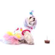 PawStar Happy Birthday Köpek Elbisesi XL Beden