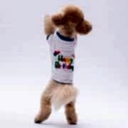 PawStar Happy Birthday Köpek Sweat S Beden