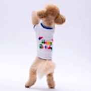 PawStar Happy Birthday Köpek Sweat M Beden