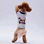 PawStar Happy Birthday Köpek Sweat XL Beden