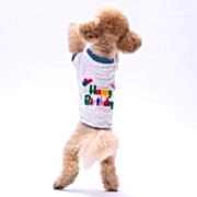 PawStar Happy Birthday Köpek Sweat 2XL Beden