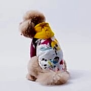 PawStar Sarı Rio Kapüşonlu Sweatshirt M Beden