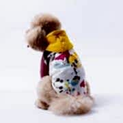 PawStar Sarı Rio Kapüşonlu Sweatshirt 2XL Beden