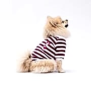 PawStar Mor Piglet Sweat M Beden