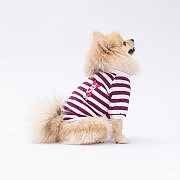PawStar Mor Piglet Sweat XL Beden