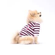PawStar Mor Piglet Sweat 2XL Beden