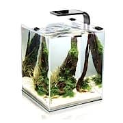 Aquael Shrimp Set 10 Black